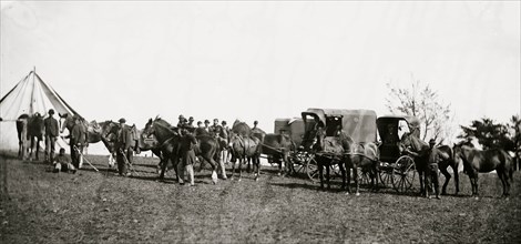 Culpeper, Virginia. Capt. Pierce's private horses, wagons, etc. 1863