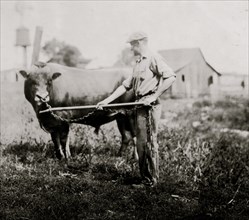 Dairyman in Kentucky with a cow 1917