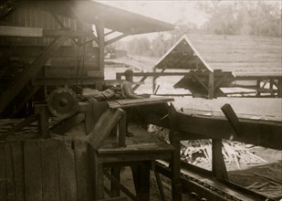 Working in a lumber mill and doing dangerous work 1914