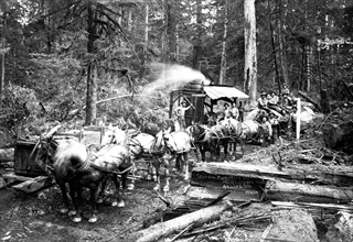 Loggers and Their Logs 1920
