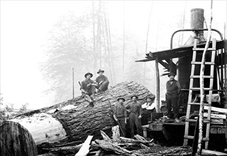 Lumber Break 1920