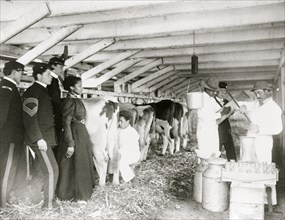 Demonstration of milk testing in stable, at Hampton Institute, Hampton, Virginia 1899