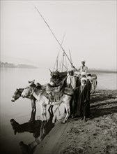 Donkey boys on the banks of the Nile, near Thebes 1910