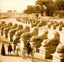 Egyptian views. General view of Temple of Hathor. Karnak. Near view of sphinxes in front of 1st pylon 1910