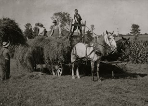 Eight-year old Jack driving load of hay 1915