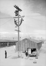 Line crew at work in Manzanar 1943