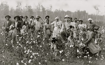 The cotton planter and his pickers 1908