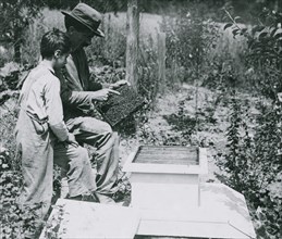 Father teaches son about Beehives and apiary 1915