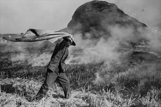 Fighting fire of rice straw stack in rice field near Crowley, Louisiana 1938