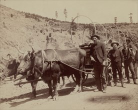 Gold Fever. Prospectors going to the new Gold Field 1890