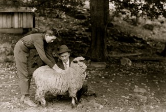 Forest Kellison, 4 H Club Member raising a sheep. Examining the quality of the fleece under direction of Harold Willey, Farm Bureau Agent. 1921