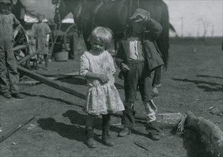 Four year old cotton picker who picks fifteen pounds a day regularly and seven year old who picks fifty pounds a day.  1915