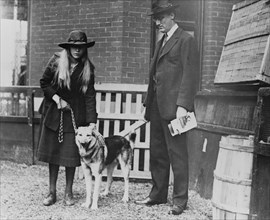 Seventh annual Dog Show of the Washington Kennel Club 1920