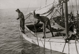 Fred, a young oyster fisher; working on an oyster boat in Mobile Bay, the Reef, near Bayou La Batre, said he was fourteen, but not likely 1911