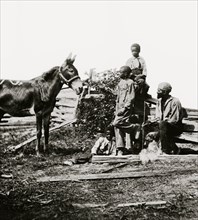 Free at Last; a Family of Blacks feeds their donkey 1864