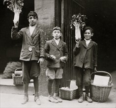 Fruit Peddlers sell stalks of celery 1909