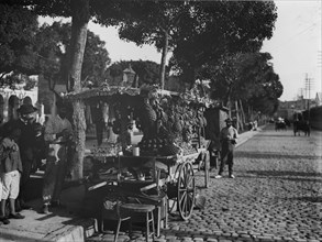 Fruit Stands on the Prado 1900