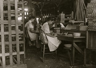 Girls working in Tampa, Fla., Box Factory. 1909