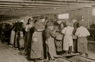 Group of oyster shuckers working in canning factory of Dunbar, Lopez, Dukate Co. All but the very smallest babies work. 1911