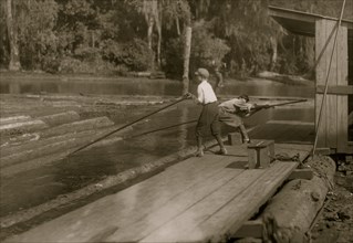 River Boys do the logging 1914