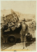 Harry and Sallie. Driver in Maryland Coal Co. Mine, near Sand Lick, Grafton, W. Va.  1908