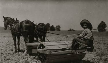 Harry Dewitt driving a roller on his father's farm 1916