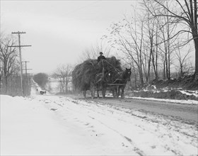 Hay wagons on bobsled road