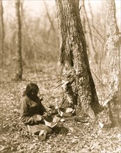 Indian woman tapping maple sap 1908