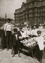 Indianapolis Fruit Vendors, Italian Boys, Aug., 1908 1908