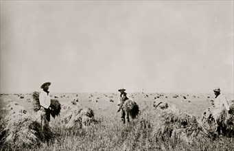 Indians farming on Fort Peck Reservation