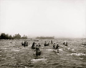 Indians fishing in the rapids, Sault Ste. Marie, Mich. 1900