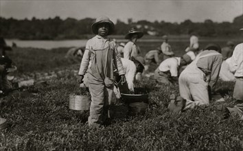 Joe carrying cranberries. Said 10 years old. Picks also. 1911