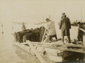 Landing of horses at Chemulpo 1904
