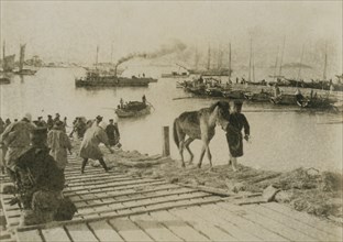 Landing pack ponies at Chemulpo for advance on Seoul 1904
