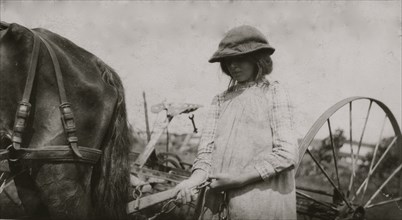 Lucy Saunders hitching the team to the horse rake 1915