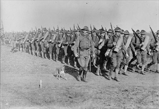 Marching US Infantry in Texas as a mascot dog is near the head of the column