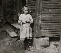 Marie Kriss, seven years old, shucks oysters and picks shrimp at Biloxi Canning Co., 1911