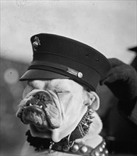 Marine Corps Bulldog in Helmet with Globe & Anchor 1925