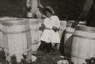 Mary Christmas, nearly 4 years old. Picks cranberries sometimes. She is now picking up berries spilled at the barrels by Grandfather.  1911