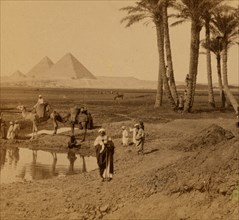 Men and camels at a pool with the Pyramids in the distance. Jizah, Egypt. 1896