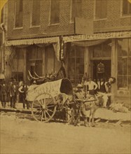A Pioneer in Denver visits the Taxidermist 1875