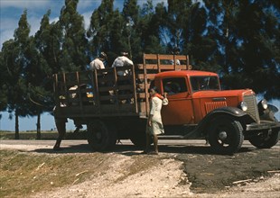 Mississippi farm workers transported by truck 1939