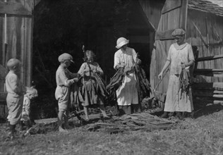 Mrs. J.L. Hazel and children stripping tobacco.  1917
