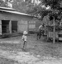 Noon time chores of Black tenant farmer: feeding the pigs. Granville County, North Carolina 1939