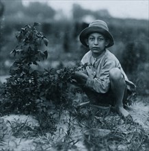 Norris Lovitt. Been picking for 3 years in berry fields near Baltimore, Md. 1910