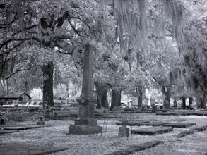 Old Live Oak Cemetery, Selma, Alabama 2010