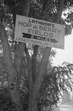 Hop & Berry Fields 1939