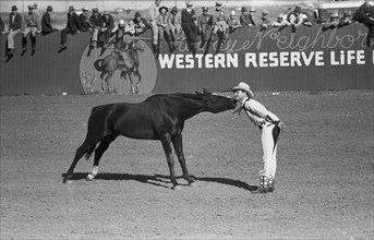 Horse Kiss 1940