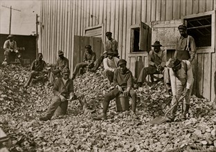 Oyster shuckers at Apalachicola, Fla. This work is carried on by many young boys during busy seasons. This is a dull year so only a few youngsters were in evidence 1909