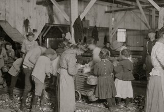 Jewish oyster shuckers in Barataria Canning Co. In this group are Gertrude Kohn, five years old, and Pauline ---, eight years old 1911